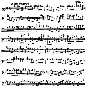 鲍斯特列姆大提琴练习曲 35 36
