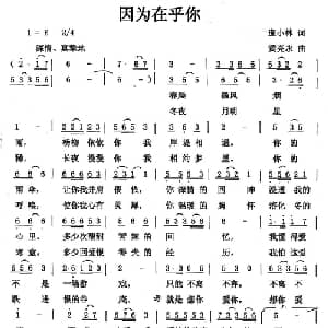 因为在乎你_通俗唱法乐谱_词曲:庞小林 黄亮永