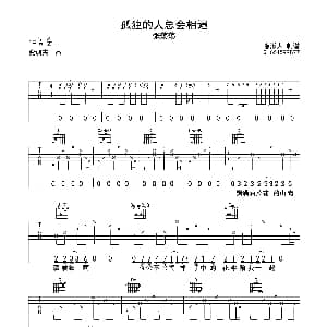 孤独的人总会相遇 吉他谱 张荡荡 隐形人制谱