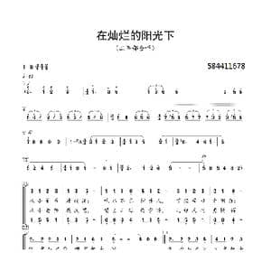 在灿烂的阳光下二部合唱谱_歌曲简谱