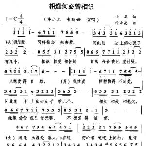 相逢何必曾相识_通俗唱法乐谱_词曲:小美 伦永亮