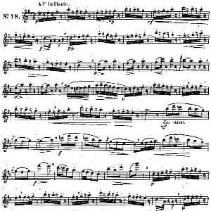 长笛曲谱 | 二十首练习曲作品131号 NO.18 Garibold 加里波第