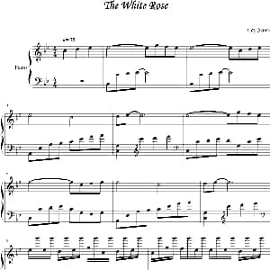 The White Rose 钢琴谱
