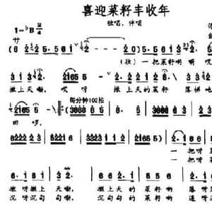 喜迎菜籽丰收年_民歌简谱_词曲:佟文西 金国安