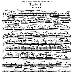 长笛曲谱 | 长笛演奏基础教程练习 Etude 1 E Wagner E 韦格