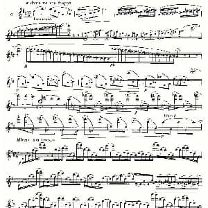 长笛曲谱 | 基于维尼亚夫斯基练习曲的10首长笛练习曲之6 Moyse 10 Studies After Wieniawski 莫伊斯Moyse
