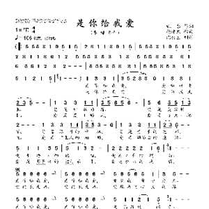 是你给我爱_歌曲简谱_词曲:张黎 徐沛东