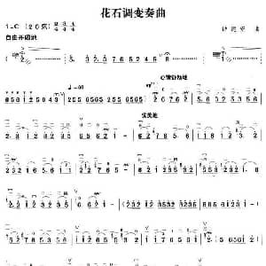 二胡谱 | 花石变奏曲 钟建安