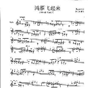 鸿雁飞起来_歌曲简谱_词曲: 杨会林编曲