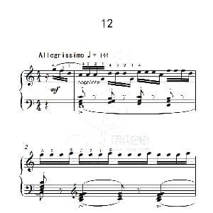 练习曲 12 钢琴谱