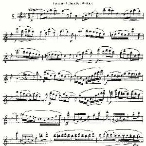 长笛曲谱 | Six Duets, Op.137 之五 二重奏 六首作品 137号 Furstenau 福斯特劳