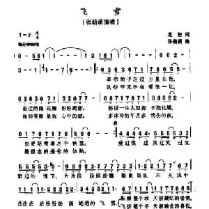 飞雪_通俗唱法乐谱_词曲:崔忠 张萌萌