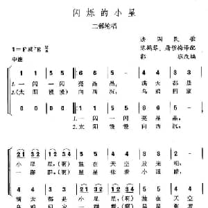 闪烁的小星 法国 _外国歌谱