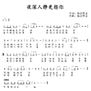 夜深人静更想你_通俗唱法乐谱_词曲:轻云望月 轻云望月