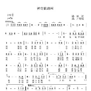 神奇的路网_通俗唱法乐谱