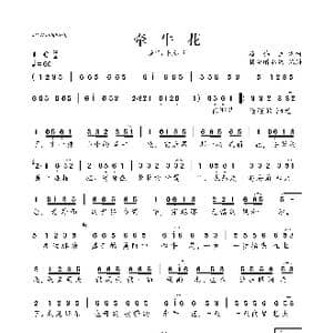 牵牛花_歌曲简谱_词曲:崔伟立 崔伟立