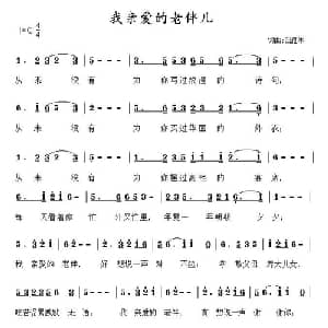我亲爱的老伴儿_通俗唱法乐谱_词曲:白雁冰 白雁冰