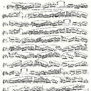 长笛曲谱 | 基于维尼亚夫斯基练习曲的10首长笛练习曲之5 Moyse 10 Studies After Wieniawski 莫伊斯Moyse