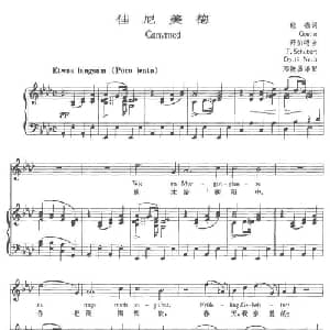 佳尼美德 奥地利 _外国歌谱_词曲:歌德 舒伯特曲 邓映易译配
