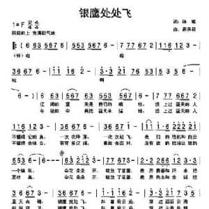 银鹰处处飞_民歌简谱_词曲:陈斌 周燕君