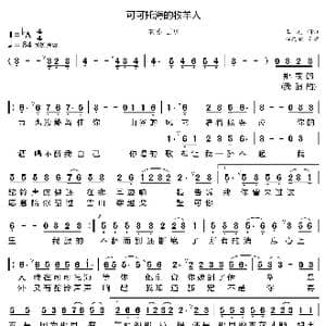 可可托海的牧羊人_歌曲简谱_词曲:王琪 王琪