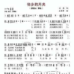 他乡的月光_歌谱投稿_词曲:胡滨 王佑贵