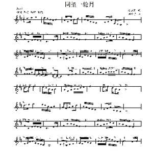 同望一轮月_歌曲简谱_词曲:冷宜君 刘敖宁