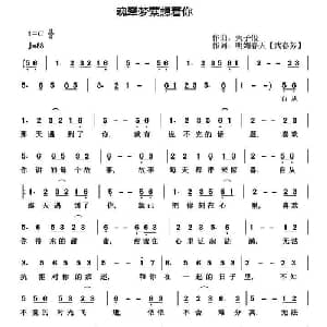 魂牵梦萦想着你_通俗唱法乐谱_词曲:天子俊 武春芳