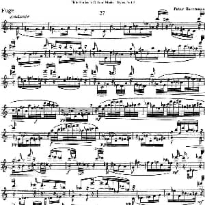 长笛曲谱 | 斯勒新老风格长笛练习重奏曲 第二部分 NO.27 NO.28 Siegfried Thiele S. 斯勒