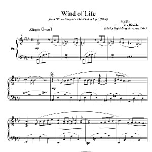 Wind of Life 钢琴谱 久石让