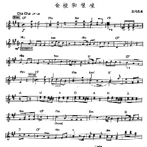 电子琴谱 | 金梭和银梭 金凤浩