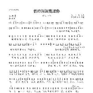 曾经深深爱过你_歌曲简谱_词曲:孙小丁 孙小丁