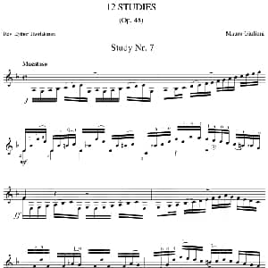 Mauro Giuliani 12 Studies,Op.48 吉他谱