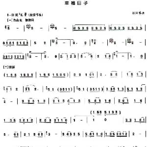 葫芦丝谱 | 幸福日子 张汉举