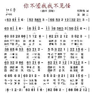你不懂我我不见怪_歌谱投稿_词曲:欧阳倩 国巍