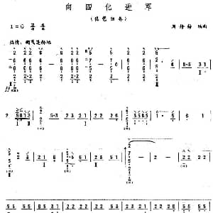 琵琶谱 | 向四化进军 周静梅编曲