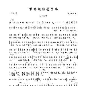 梦的翅膀受了伤_歌曲简谱_词曲:周玉荣 周玉荣