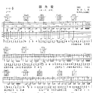 因为爱 吉他谱 羽泉 NID 陈羽凡