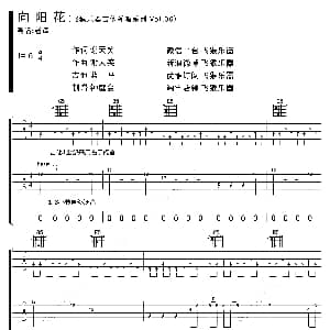 向阳花 吉他谱 谢天笑 飞猴乐器