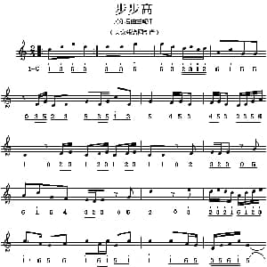 步步高 民乐名曲主旋律谱