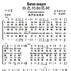 俄 白色的相思树_歌谱投稿