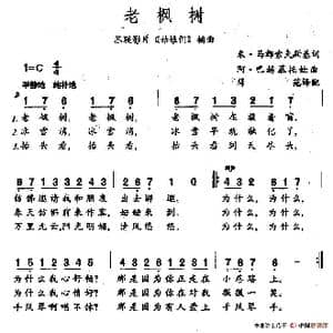 老枫树_歌谱投稿