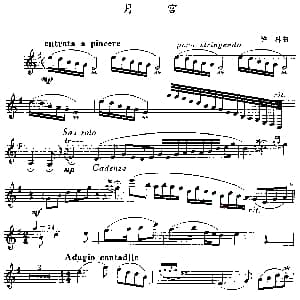 萨克斯谱 | 月宫 许林