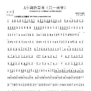 A小调协奏曲_歌曲简谱_词曲:维瓦尔第曲 维瓦尔第曲