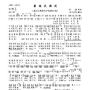 最炫民族风_歌曲简谱_词曲:张超 张超