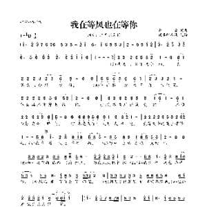 我在等风也在等你_歌曲简谱_词曲:李青 李青