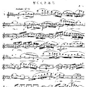 萨克斯谱 | 萨克斯练习曲合集 5—19 降C大调练习 费林