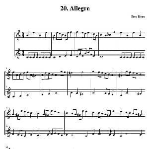 小提琴谱 | Allegro 简易二重奏 Tom Horn 霍恩 汤姆