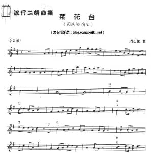 二胡谱 | 菊花台 五线谱 周杰伦