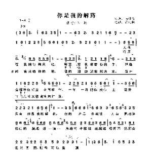 你是我的解药_歌曲简谱_词曲:马健涛 马健涛